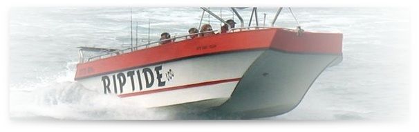 Riptide Charters